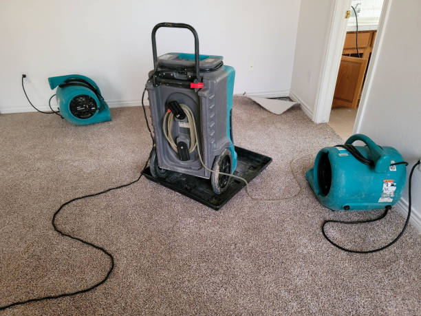 Best Professional water damage repair  in Malakoff, TX