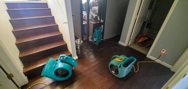 Best Water damage restoration near me  in Malakoff, TX