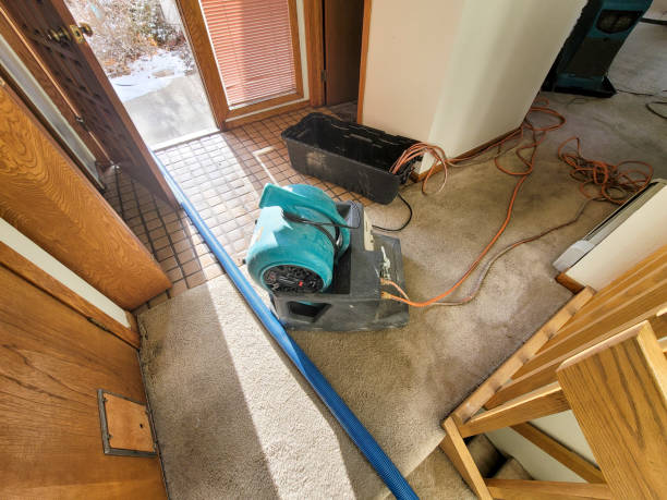Best Local water damage restoration  in Malakoff, TX