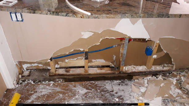 Best Mold removal after water damage  in Malakoff, TX