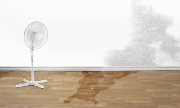 Best Local water damage restoration  in Malakoff, TX