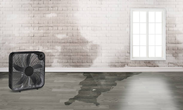 Best Fire Damage Restoration  in Malakoff, TX