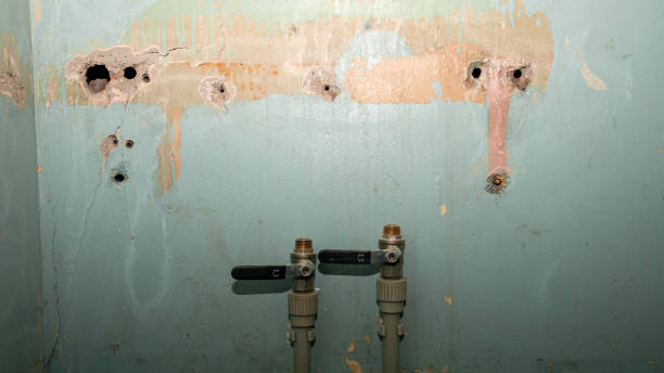 Best Sewage cleanup and water damage restoration  in Malakoff, TX